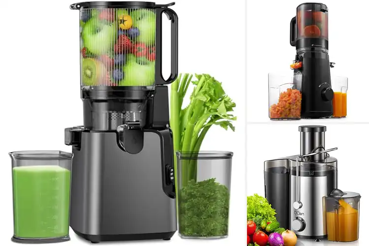 Detailed view of Best Easy Clean Juicers
