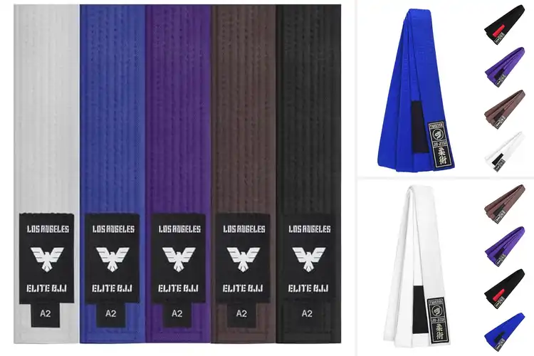 Detailed view of Best Jiu Jitsu Belts